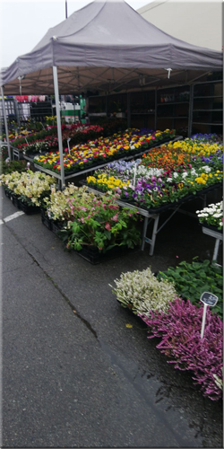 bloemenstand op de markt
